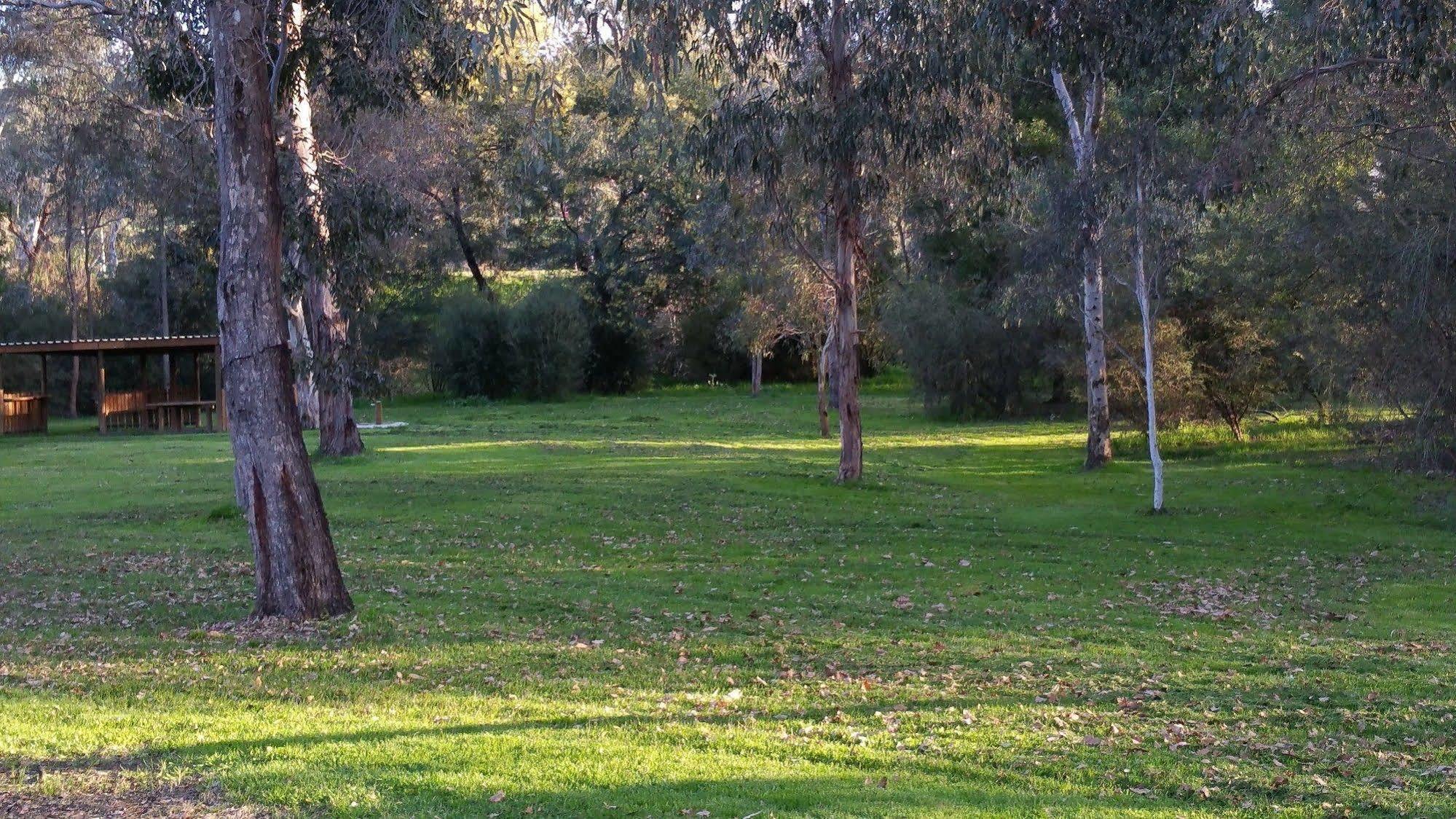 Yea Riverside Caravan Park Exterior photo